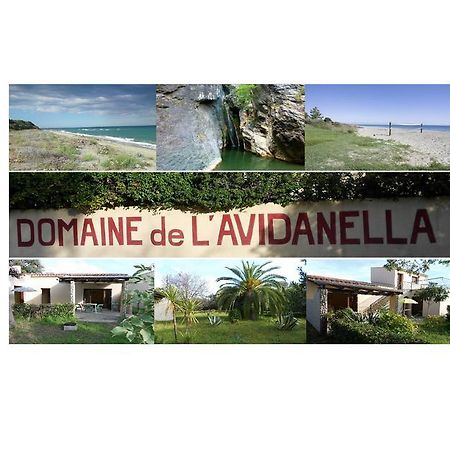 דירות סנטה-לוסיה-די-מוריאני Domaine De L'Avidanella מראה חיצוני תמונה