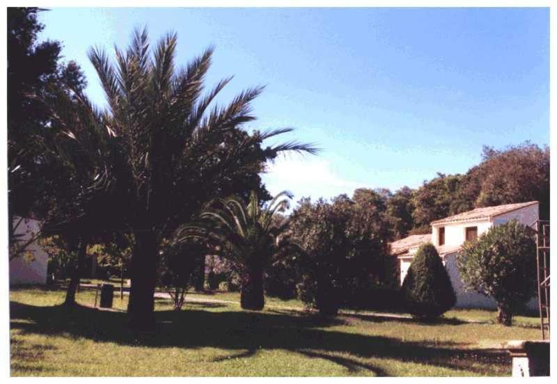 דירות סנטה-לוסיה-די-מוריאני Domaine De L'Avidanella מראה חיצוני תמונה