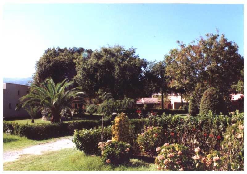 דירות סנטה-לוסיה-די-מוריאני Domaine De L'Avidanella מראה חיצוני תמונה