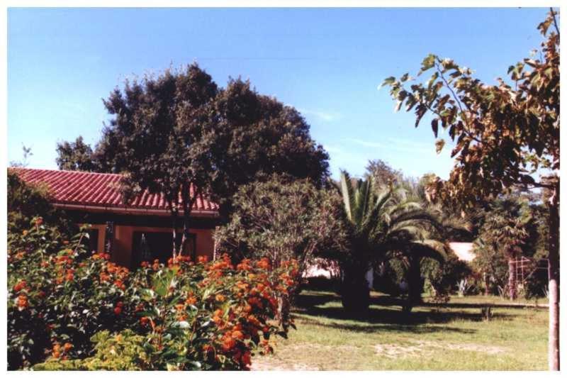דירות סנטה-לוסיה-די-מוריאני Domaine De L'Avidanella מראה חיצוני תמונה